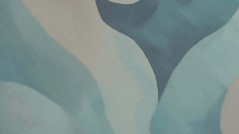 Somos Pacientes: un rediseño accesible y moderno