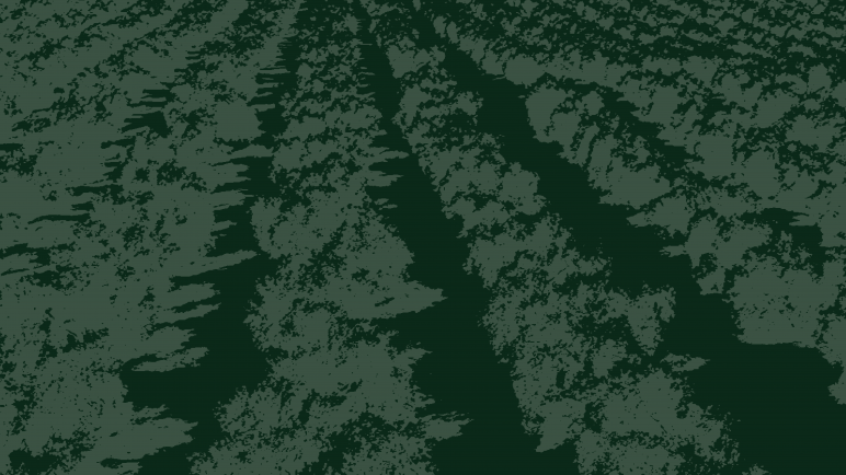 Una nueva comunicación <br> para el oro líquido